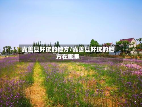 嘉善县好玩的地方/嘉善县好玩的地方在哪里-第2张图片