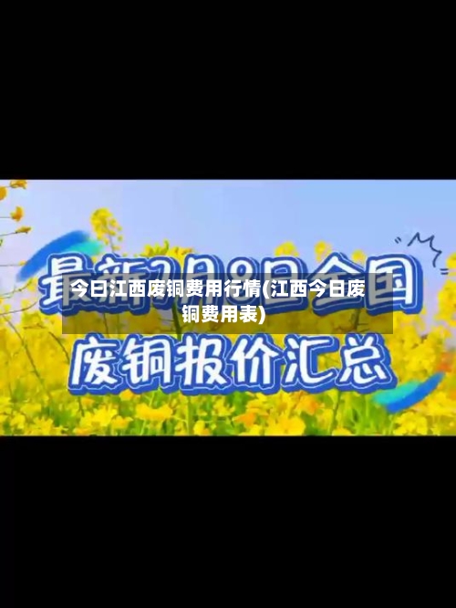 今曰江西废铜费用行情(江西今日废铜费用表)-第2张图片