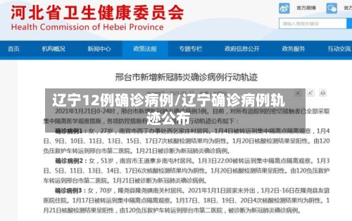 辽宁12例确诊病例/辽宁确诊病例轨迹公布-第2张图片