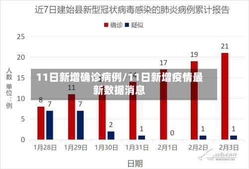 11日新增确诊病例/11日新增疫情最新数据消息-第2张图片