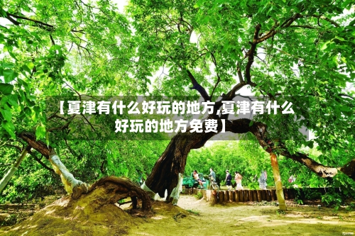 【夏津有什么好玩的地方,夏津有什么好玩的地方免费】-第2张图片