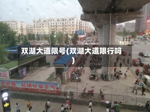 双湖大道限号(双湖大道限行吗)-第3张图片