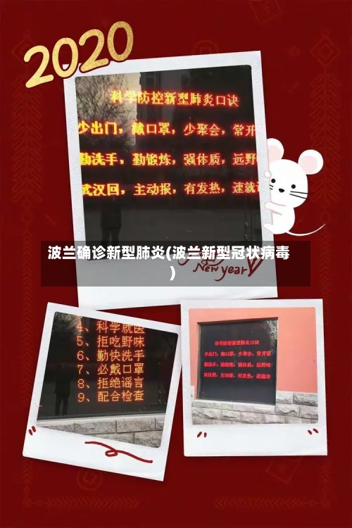 波兰确诊新型肺炎(波兰新型冠状病毒)