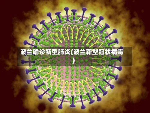 波兰确诊新型肺炎(波兰新型冠状病毒)-第3张图片