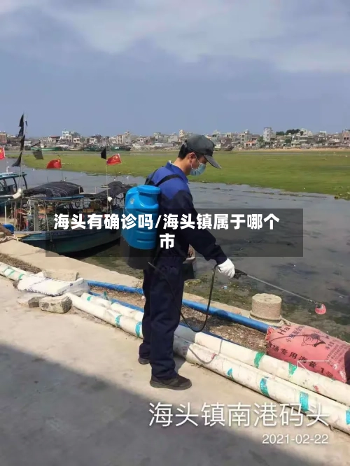 海头有确诊吗/海头镇属于哪个市