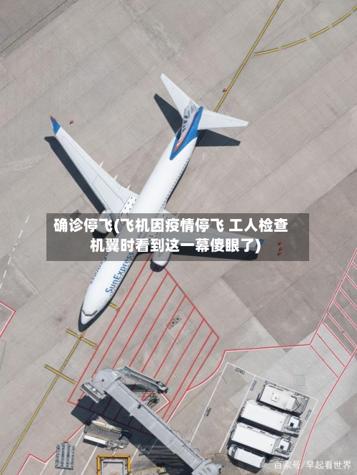 确诊停飞(飞机因疫情停飞 工人检查机翼时看到这一幕傻眼了)