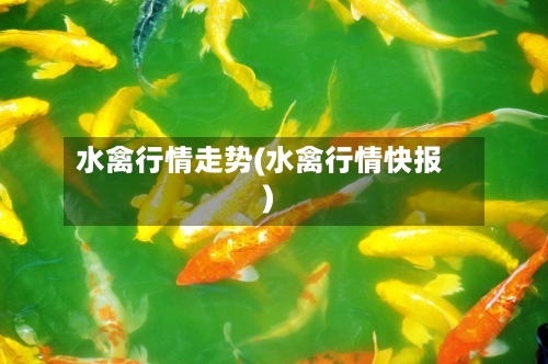水禽行情走势(水禽行情快报)