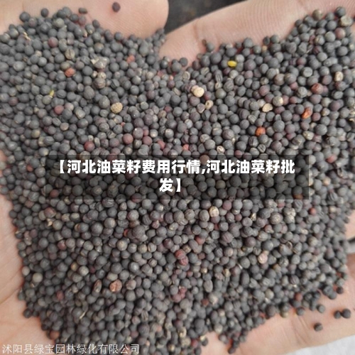 【河北油菜籽费用行情,河北油菜籽批发】-第2张图片