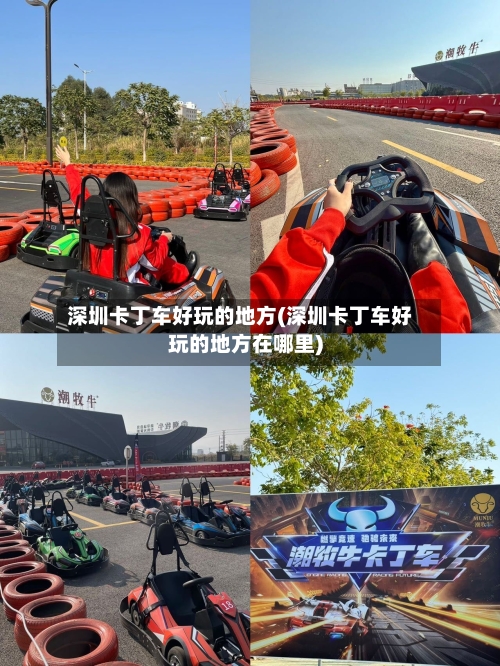 深圳卡丁车好玩的地方(深圳卡丁车好玩的地方在哪里)-第2张图片