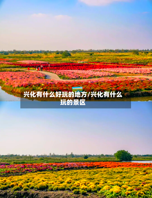 兴化有什么好玩的地方/兴化有什么玩的景区