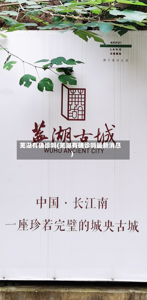 芜湖有确诊吗(芜湖有确诊吗最新消息)-第2张图片