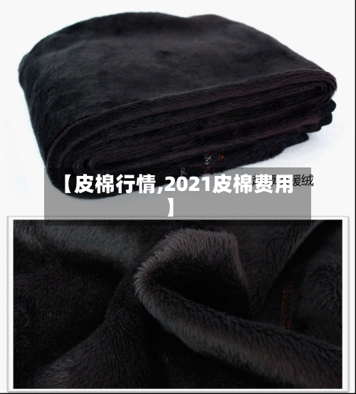 【皮棉行情,2021皮棉费用】