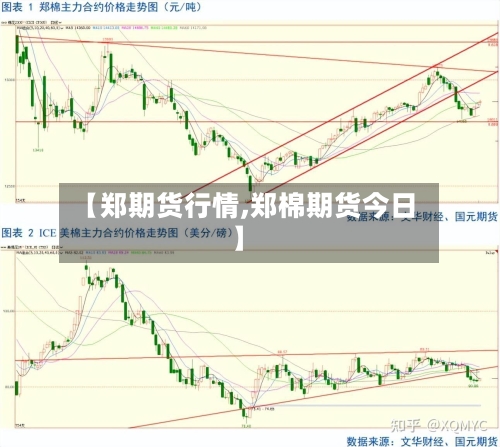 【郑期货行情,郑棉期货今日】-第2张图片