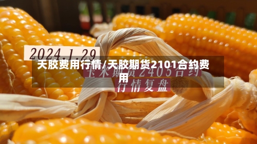 天胶费用行情/天胶期货2101合约费用-第2张图片