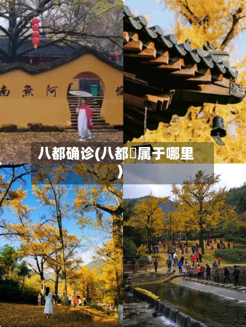 八都确诊(八都岕属于哪里)-第3张图片