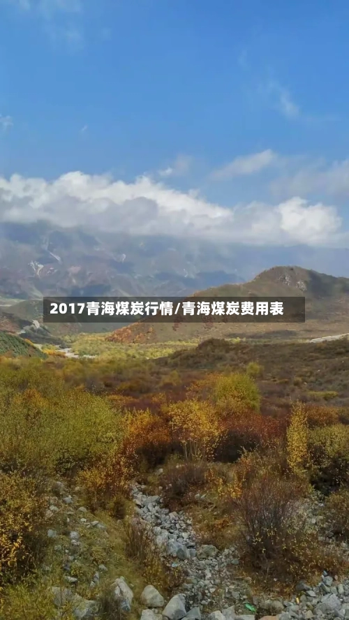 2017青海煤炭行情/青海煤炭费用表-第3张图片