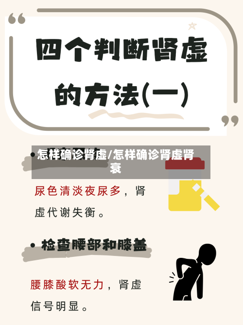 怎样确诊肾虚/怎样确诊肾虚肾衰