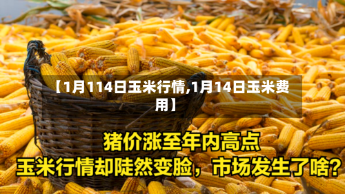 【1月114日玉米行情,1月14日玉米费用】-第2张图片