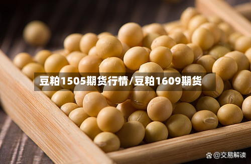 豆粕1505期货行情/豆粕1609期货