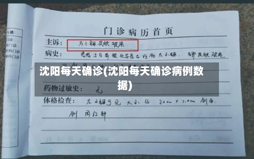 沈阳每天确诊(沈阳每天确诊病例数据)-第2张图片