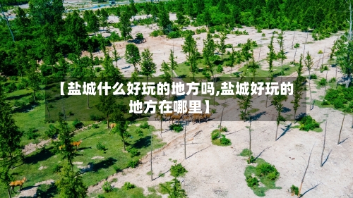 【盐城什么好玩的地方吗,盐城好玩的地方在哪里】