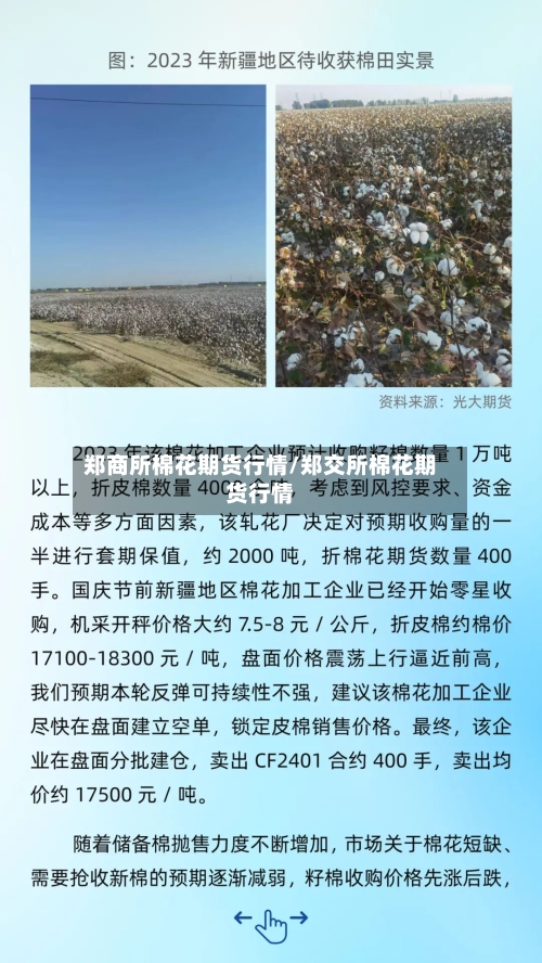郑商所棉花期货行情/郑交所棉花期货行情