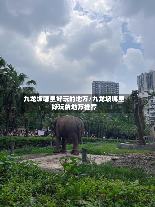 九龙坡哪里好玩的地方/九龙坡哪里好玩的地方推荐