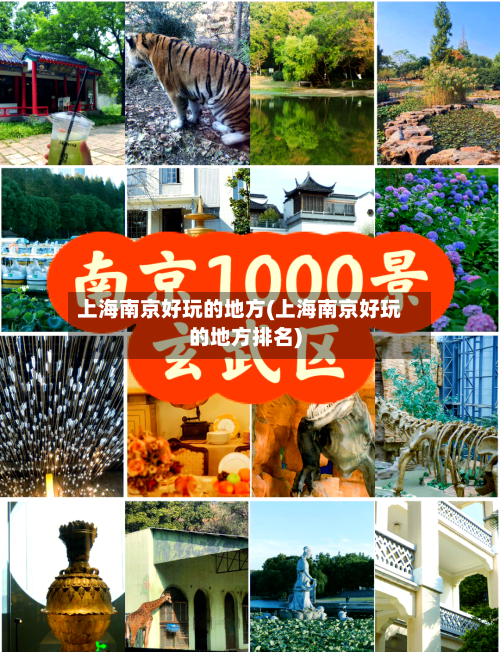 上海南京好玩的地方(上海南京好玩的地方排名)