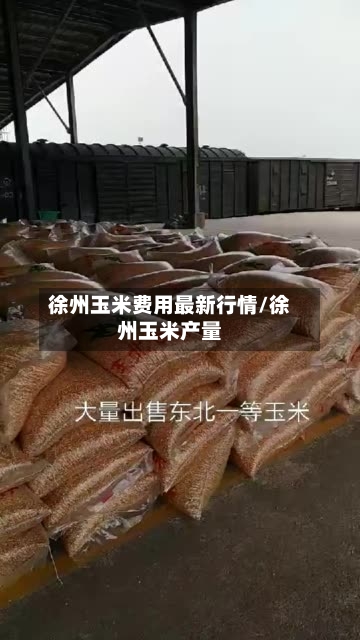 徐州玉米费用最新行情/徐州玉米产量
