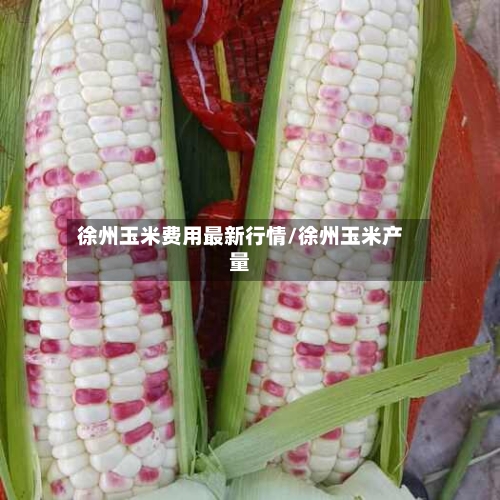 徐州玉米费用最新行情/徐州玉米产量-第2张图片