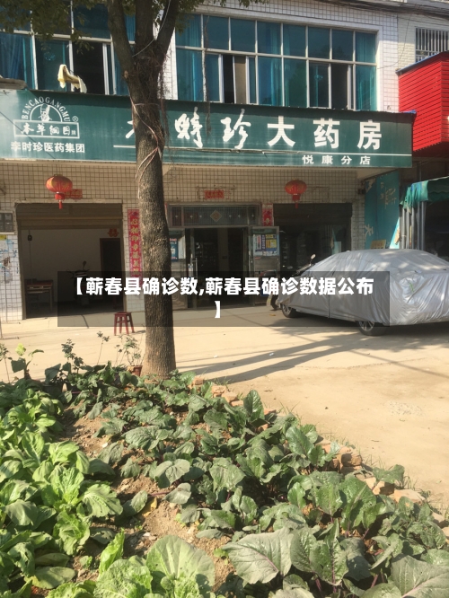【蕲春县确诊数,蕲春县确诊数据公布】-第3张图片
