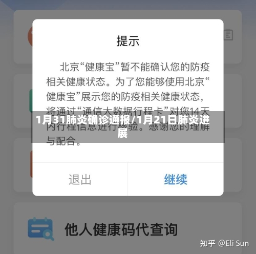 1月31肺炎确诊通报/1月21日肺炎进展-第2张图片