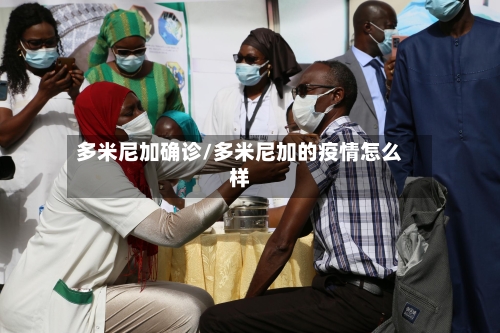 多米尼加确诊/多米尼加的疫情怎么样-第1张图片