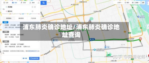浦东肺炎确诊地址/浦东肺炎确诊地址查询-第2张图片