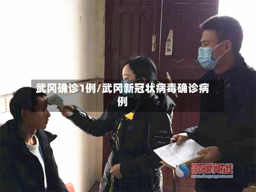 武冈确诊1例/武冈新冠状病毒确诊病例-第2张图片