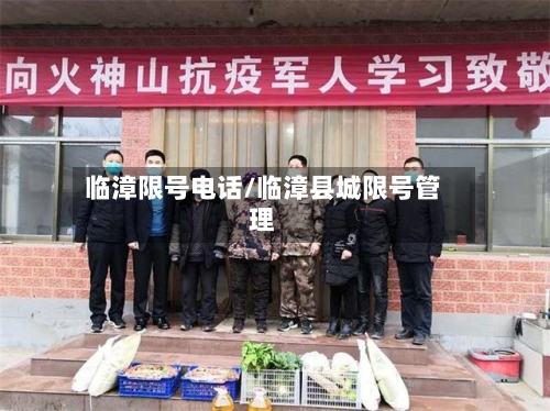 临漳限号电话/临漳县城限号管理-第2张图片