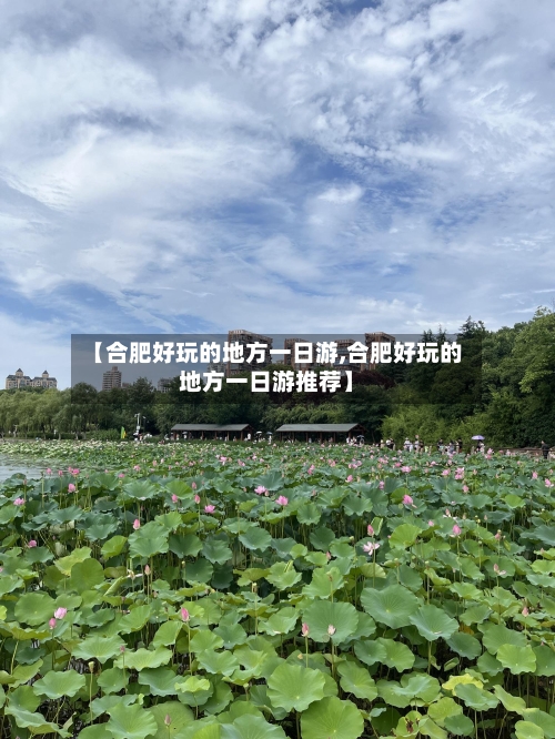 【合肥好玩的地方一日游,合肥好玩的地方一日游推荐】-第1张图片