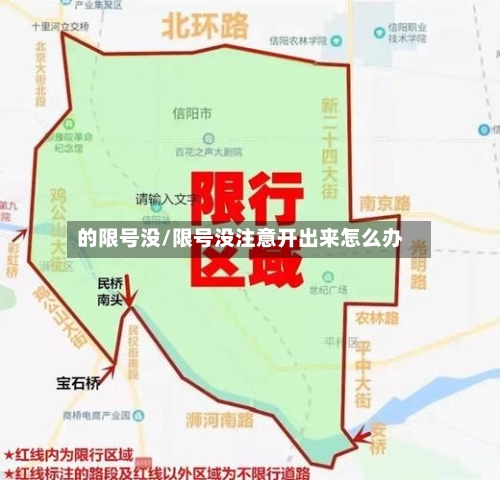 的限号没/限号没注意开出来怎么办-第2张图片