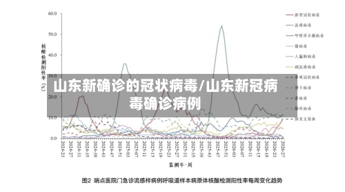 山东新确诊的冠状病毒/山东新冠病毒确诊病例-第3张图片
