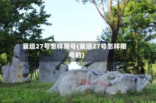 襄垣27号怎样限号(襄垣27号怎样限号的)-第1张图片