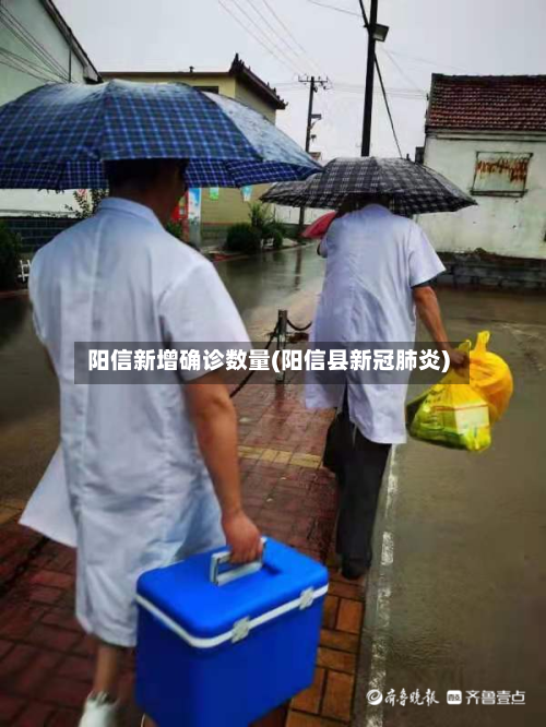 阳信新增确诊数量(阳信县新冠肺炎)