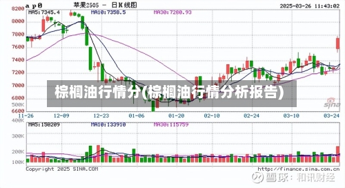 棕榈油行情分(棕榈油行情分析报告)