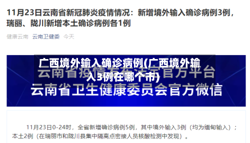 广西境外输入确诊病例(广西境外输入3例在哪个市)-第2张图片