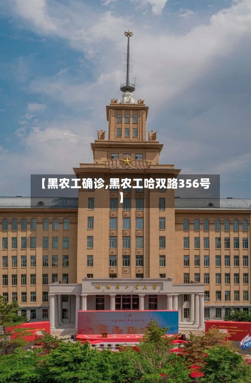 【黑农工确诊,黑农工哈双路356号】-第3张图片