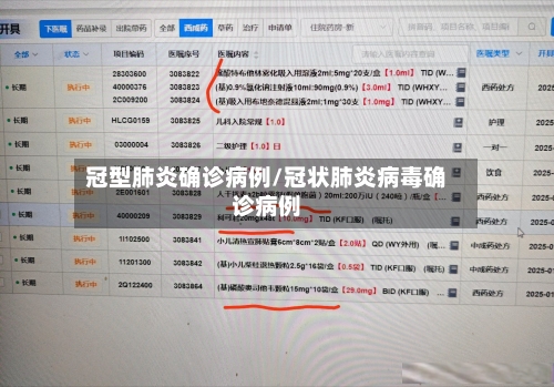 冠型肺炎确诊病例/冠状肺炎病毒确诊病例-第3张图片