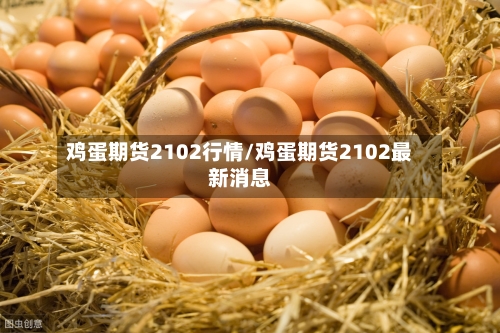 鸡蛋期货2102行情/鸡蛋期货2102最新消息-第1张图片
