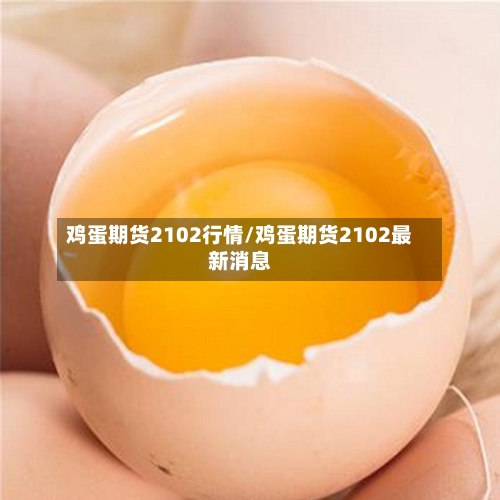 鸡蛋期货2102行情/鸡蛋期货2102最新消息-第2张图片