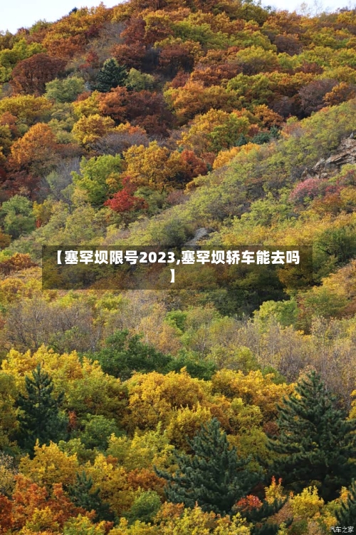 【塞罕坝限号2023,塞罕坝轿车能去吗】-第1张图片