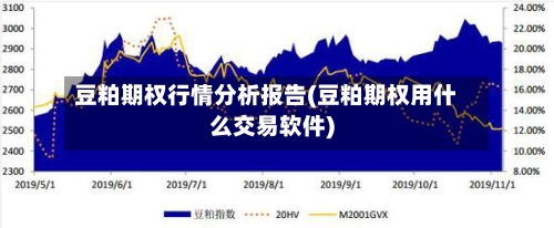 豆粕期权行情分析报告(豆粕期权用什么交易软件)-第1张图片