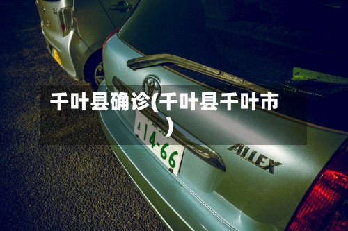 千叶县确诊(千叶县千叶市)